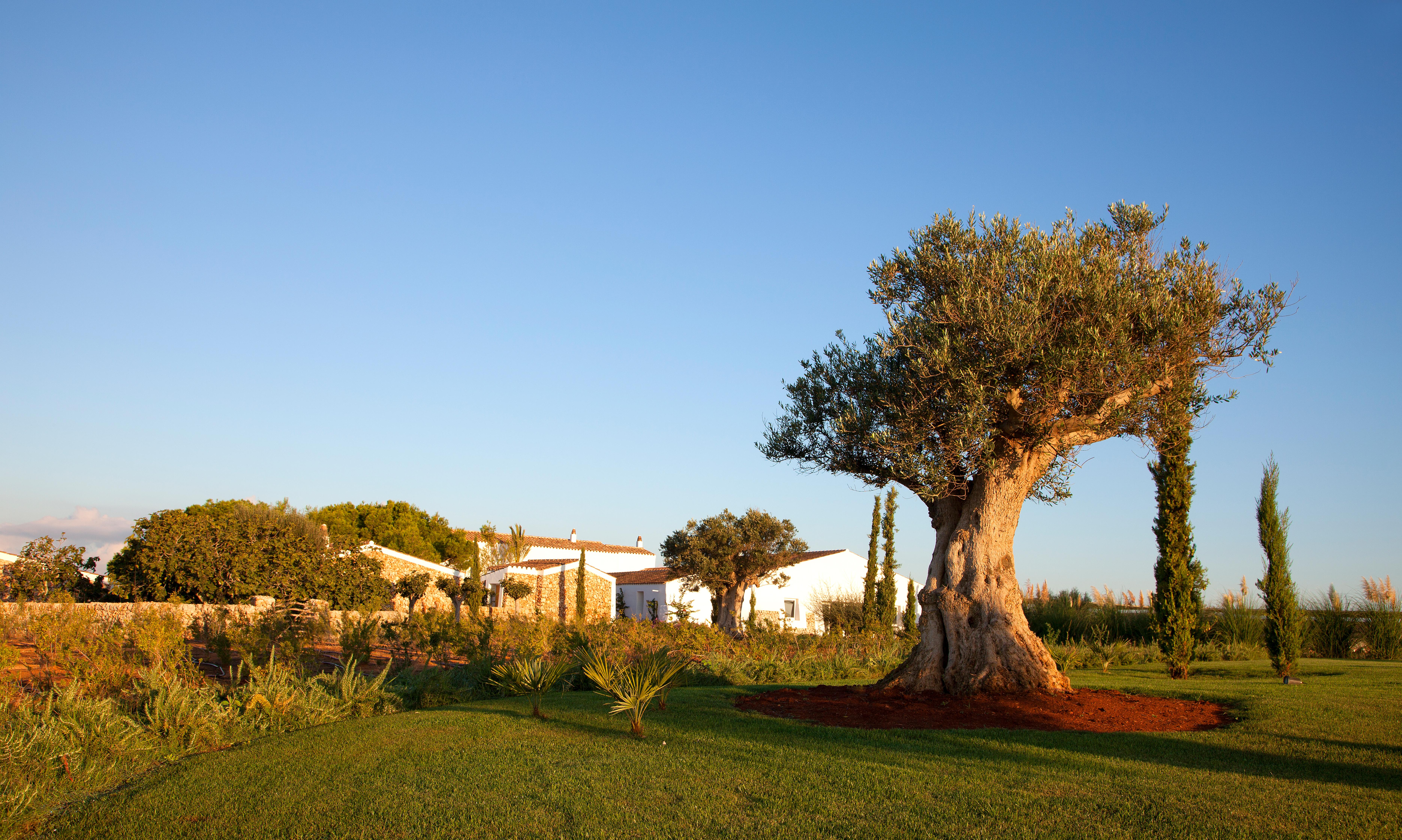 Torralbenc, A Small Luxury Hotel Of The World Cala En Porter  Luaran gambar